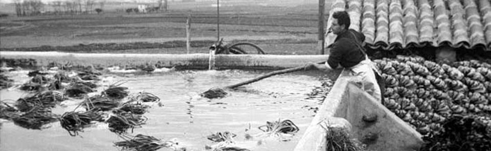 Slide Leganés Ciudad