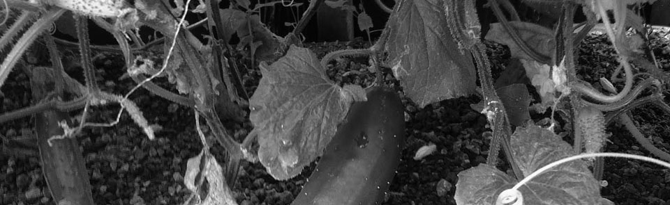 Slide Leganés Ciudad