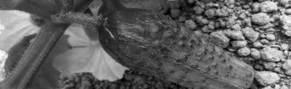 Slide Leganés Ciudad